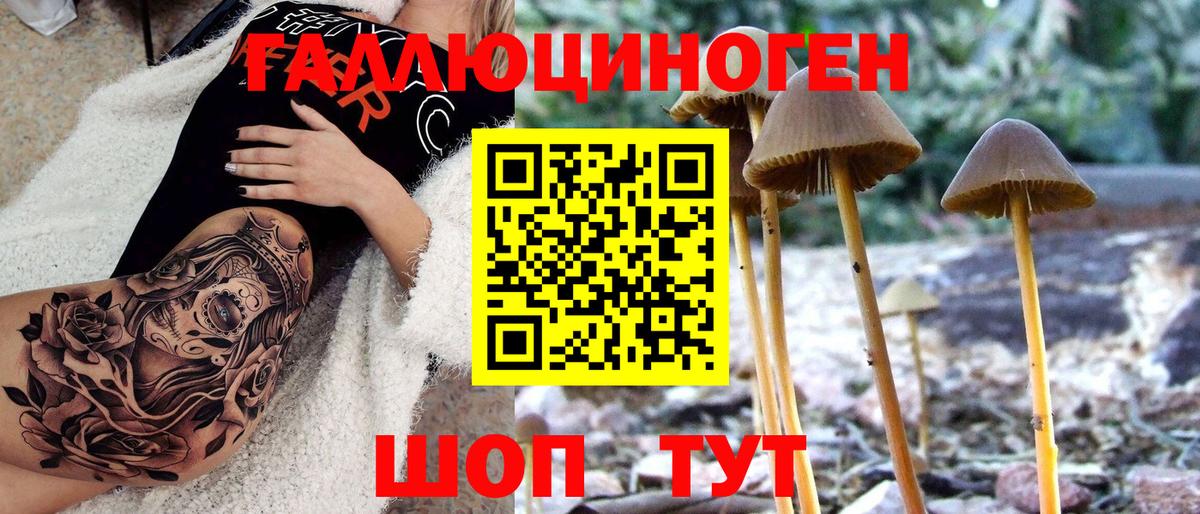 Вязьма  Псилоцибиновые грибы GOLDEN TEACHER  Вход с VPN 